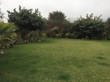 CÁLIDA CASA DE CAMPO EN PACHACÁMAC, EXCELENTE UBICACIÓN, ZONA TRANQUILA