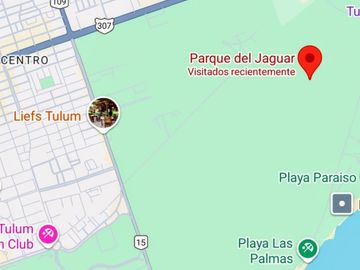 PRECIOSO DEPARTAMENTO EN VENTA A 8 MINUTOS DE LA PLAYA DE TULUM