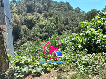 LOT IN Suello Village, Baguio City