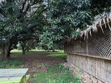 Indang Farm Lot For Sale