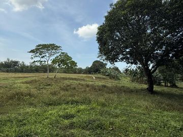 Indang Farm Lot For Sale