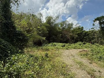 Indang Farm Lot For Sale