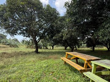 Indang Farm Lot For Sale