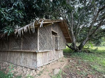 Indang Farm Lot For Sale