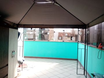 RESIDENCIA EXCLUSIVA EN URB. LOS SAUCES – COCHERA, TERRAZA, AMPLIO JARDÍN 🏡