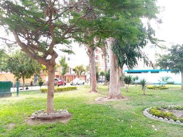 RESIDENCIA EXCLUSIVA EN URB. LOS SAUCES – COCHERA, TERRAZA, AMPLIO JARDÍN 🏡