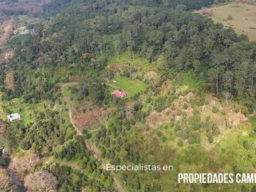 FINCA CON BOSQUE Y RÍO DE 25 HECTÁREAS