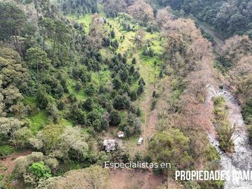 FINCA CON BOSQUE Y RÍO DE 25 HECTÁREAS