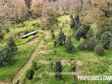 FINCA CON BOSQUE Y RÍO DE 25 HECTÁREAS
