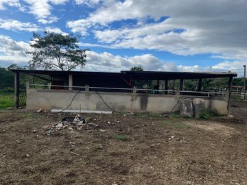 Rancho Ganadero en Venta en Acayucan Veracruz