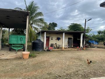 Rancho Ganadero en Venta en Acayucan Veracruz