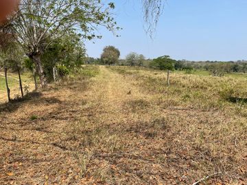Rancho Ganadero en Venta en Acayucan Veracruz