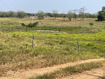 Rancho Ganadero en Venta en Acayucan Veracruz