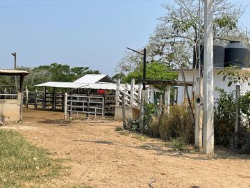 Rancho Ganadero en Venta en Acayucan Veracruz