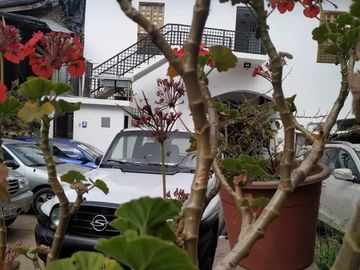 CASA RENTERA EN CENTRO HISTÓRICO DE VENTA