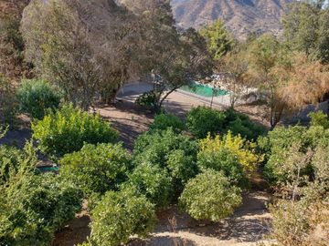 PARCELA DE 15.000 M2 CON CASA Y GRAN VARIEDAD DE FRUTALES