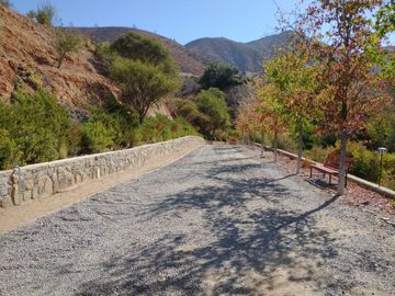 PARCELA DE 15.000 M2 CON CASA Y GRAN VARIEDAD DE FRUTALES