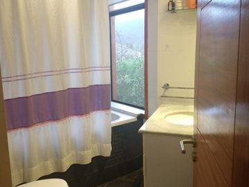 PARCELA DE 15.000 M2 CON CASA Y GRAN VARIEDAD DE FRUTALES