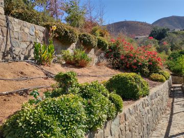PARCELA DE 15.000 M2 CON CASA Y GRAN VARIEDAD DE FRUTALES