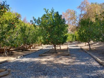 PARCELA DE 15.000 M2 CON CASA Y GRAN VARIEDAD DE FRUTALES