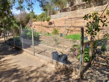 PARCELA DE 15.000 M2 CON CASA Y GRAN VARIEDAD DE FRUTALES