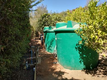 PARCELA DE 15.000 M2 CON CASA Y GRAN VARIEDAD DE FRUTALES