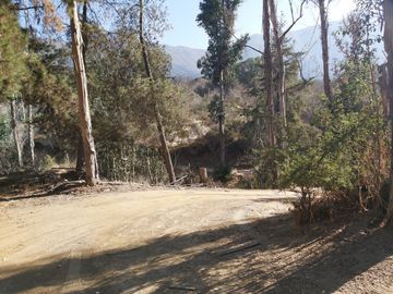 TERRENO SECTOR LOS CANELOS CURACAVI DE 8 HECTAREAS