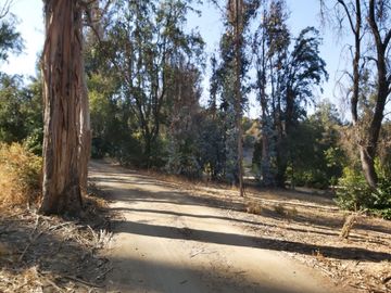TERRENO SECTOR LOS CANELOS CURACAVI DE 8 HECTAREAS