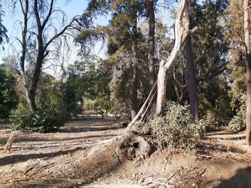TERRENO SECTOR LOS CANELOS CURACAVI DE 8 HECTAREAS