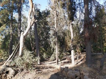 TERRENO SECTOR LOS CANELOS CURACAVI DE 8 HECTAREAS