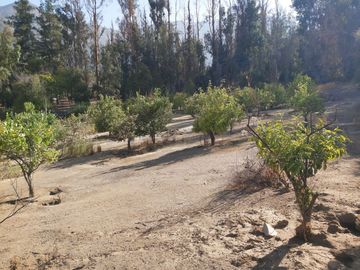TERRENO SECTOR LOS CANELOS CURACAVI DE 8 HECTAREAS