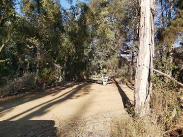 TERRENO SECTOR LOS CANELOS CURACAVI DE 8 HECTAREAS
