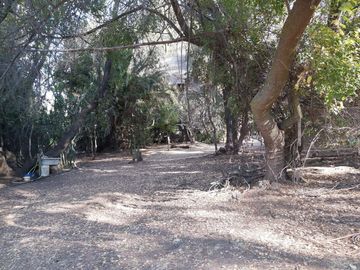 TERRENO SECTOR LOS CANELOS CURACAVI DE 8 HECTAREAS