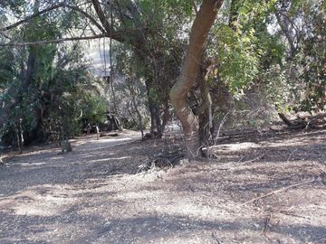TERRENO SECTOR LOS CANELOS CURACAVI DE 8 HECTAREAS