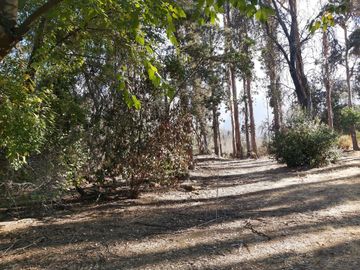 TERRENO SECTOR LOS CANELOS CURACAVI DE 8 HECTAREAS
