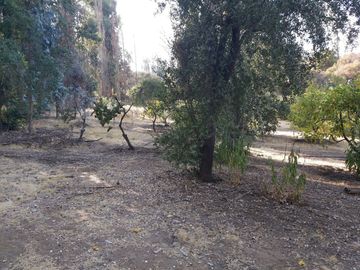 TERRENO SECTOR LOS CANELOS CURACAVI DE 8 HECTAREAS