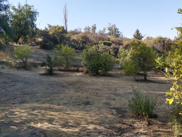 TERRENO SECTOR LOS CANELOS CURACAVI DE 8 HECTAREAS