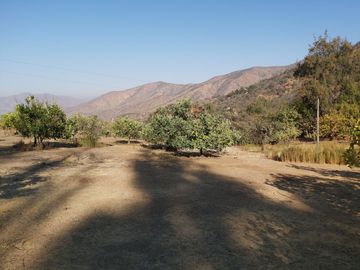 TERRENO SECTOR LOS CANELOS CURACAVI DE 8 HECTAREAS