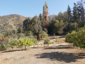 TERRENO SECTOR LOS CANELOS CURACAVI DE 8 HECTAREAS