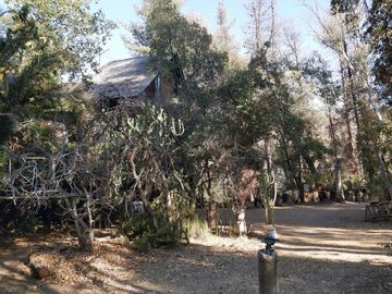 TERRENO SECTOR LOS CANELOS CURACAVI DE 8 HECTAREAS