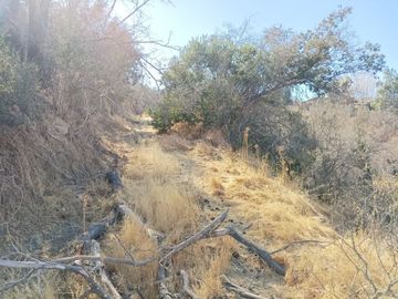 TERRENO EN LOS CANELOS DE MIRAFLORES DE 45 HECTAREAS