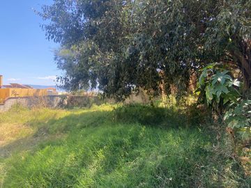 TERRENO EN VENTA EN  CHAPALA