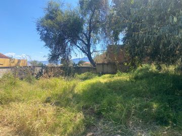 TERRENO EN VENTA EN  CHAPALA
