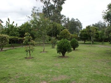 Venta - Casa - El Arenal - Calderón - Norte - Quito