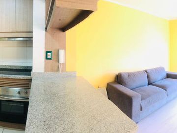 Dpto. 1 Dormitorio 1 Baño Terraza Metro Irarrázaval 38 M2