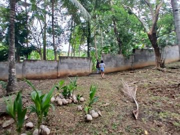 HOUSE AND LOT FOR SALE SIQ00156