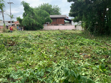 Land for sale, Hang Dong, Chiang Mai, 1 Ngan 62 Sq m, near Nong Kwai Subdistrict Municipality (ID:255LS)