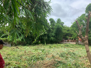 Land for sale, Hang Dong, Chiang Mai, 1 Ngan 62 Sq m, near Nong Kwai Subdistrict Municipality (ID:255LS)