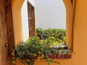 VENDO Preciosa Casa de Campo entre Lurín y Pachacamac 1000mts.  c/ Piscina y Jardines.