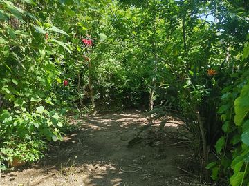 Casa a un lado de Mall La Florida Go e Iplacex